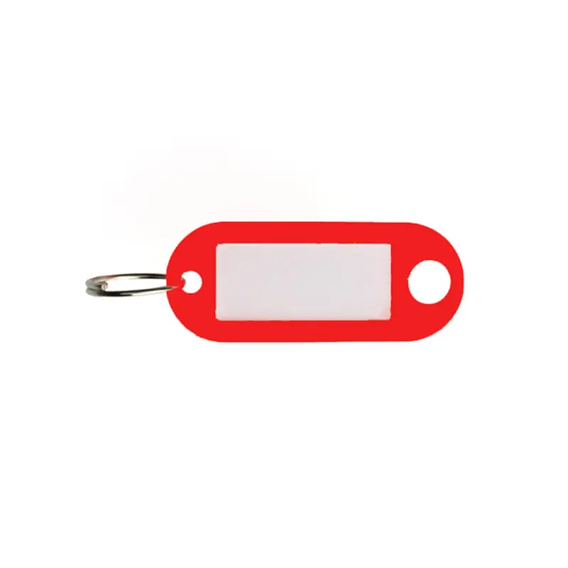 Canaropa Plastic Key Identification Tags With Split Rings — 100-Pack 1