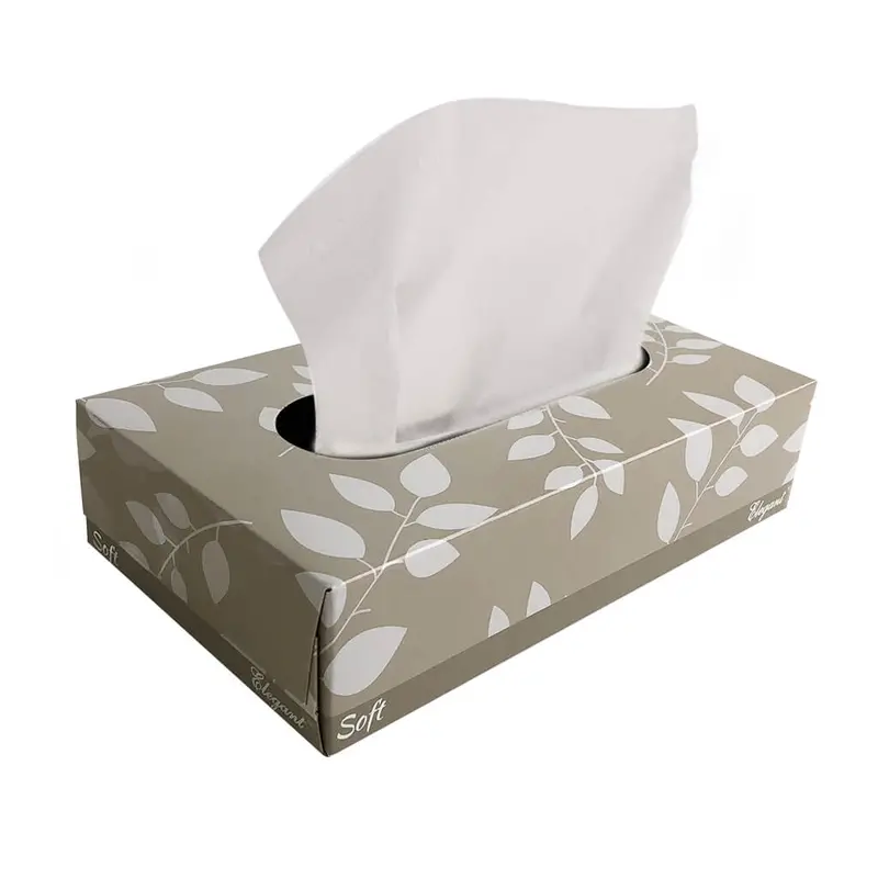 Cascades 2-Ply Deluxe Facial Tissues – 100-Sheet Pack 1