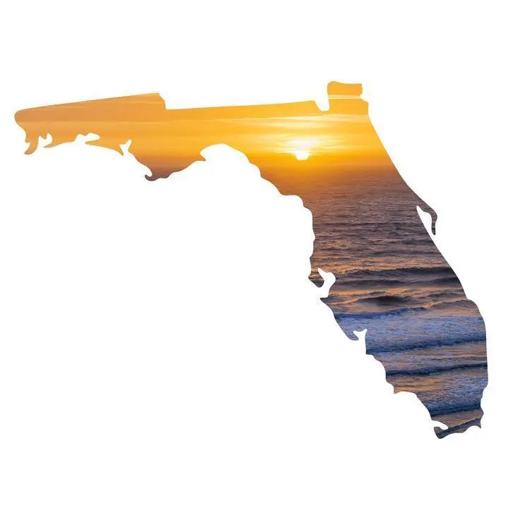 Florida Silhouette Sunrise Metal Wall Art 1