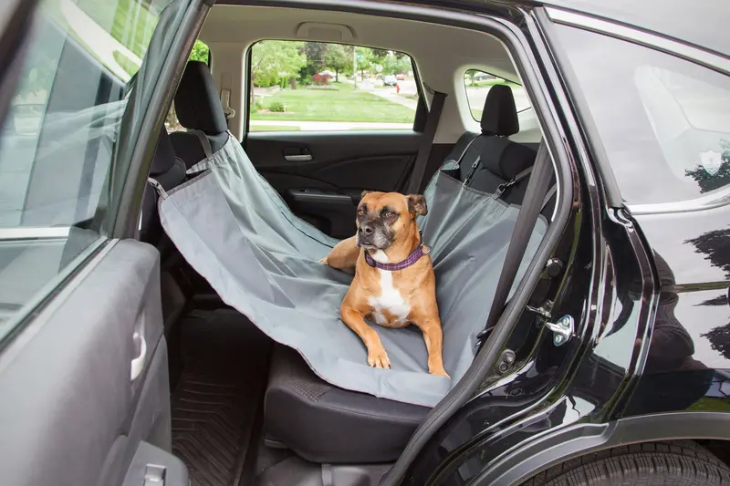 Gray Animal-Safe Hammock Seat Cover 1