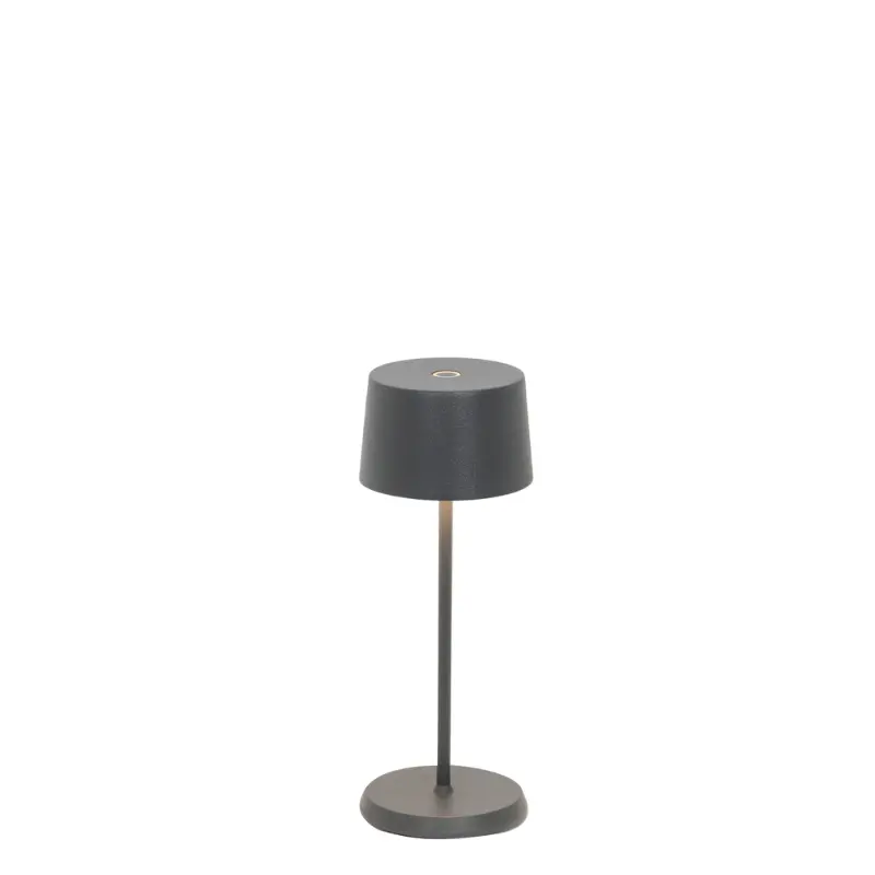 Olivia Pro Micro Task Light – Usb-C Rechargeable 1