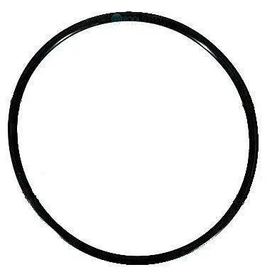 Pentair 355227 Diffuser O-Ring Seal 1