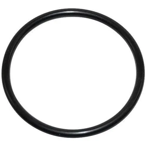 Pentair U9-226Z Diffuser O-Ring 1