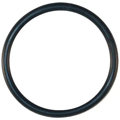 Pentair U9-374Z Diffuser O-Ring 1