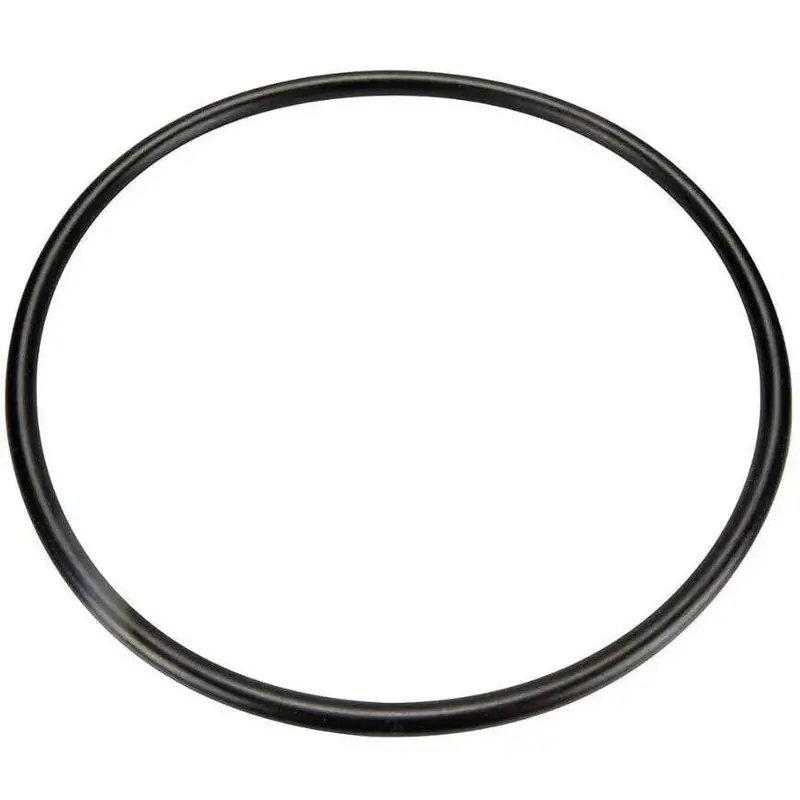 Pentair U9-375 Trap Cover O-Ring 1