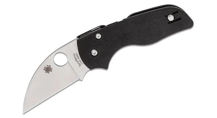 Spyderco Lil’ Native Wharncliffe Knife With G-10 Handles 1